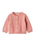 Knit Cardigan Maia Pink Wheat