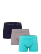 Trunk 3Pk Blue Calvin Klein