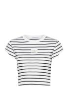 Woven Label Rib Baby Tee Patterned Calvin Klein Jeans