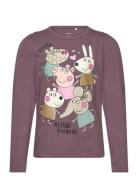 Nmfamanda Peppapig Ls Top Box Cplg Purple Name It