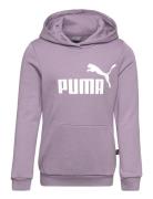 Ess Logo Hoodie Fl G Purple PUMA