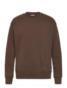 Sdlenz Crew Sw Brown Solid