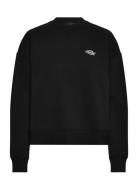 Summerdale Sweatshirt Black Dickies