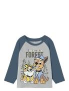 Nmmsente Pawpatrol Ls Nreg Top Cplg Grey Name It