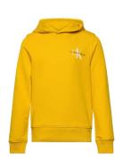 Small Monogram Hoodie Yellow Calvin Klein