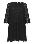 Kcemma Lace Dress Black Kaffe Curve