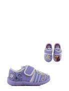 Frozen Houseshoe Purple Leomil