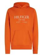 Big Hilfiger Hoody Orange Tommy Hilfiger