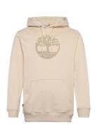 Kennebec River Tree Logo Hoodie Angora Beige Timberland