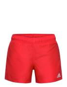 Yb Bos Shorts Red Adidas Performance