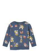 Nmmsug Pawpatrol Nreg Sweat Bru Cplg Blue Name It