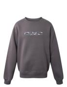 Crew Neck W/Print Grey Hound