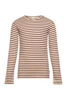 T-Shirt L/S Modal Striped Brown Petit Piao