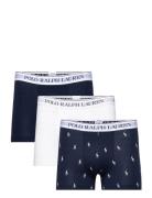 Bci Cotton/Elastane-3Pk-Trn Navy Polo Ralph Lauren Underwear