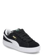 Suede Xl Jr Black PUMA