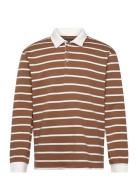 Mahaig Rugby Stripe Brown Matinique