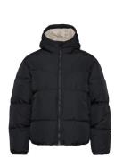 Hco. Guys Outerwear Black Hollister