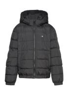 Shield Padded Jacket Black GANT