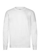 Hco. Guys Knits White Hollister