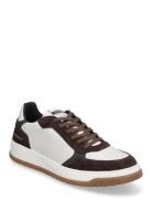 Ace Sneaker Brown Steve Madden