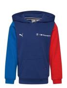 Bmw Mms Kids Ess Hoodie Ft Navy PUMA Motorsport