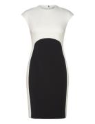 Neoprene Scuba Colorblock Dress Black Calvin Klein