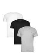 Tonic Ss Crew 3 Pk Grey AllSaints