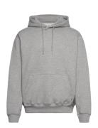 Wbpacs Base Hoodie Grey Woodbird