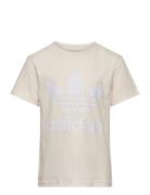 Trefoil Tee Beige Adidas Originals