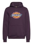 Icon Logo Hoodie Purple Dickies