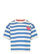 Tnnanny Os S_S Tee Blue The New
