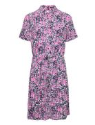 Boyfriend Dress Pink Fabienne Chapot