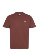 Ss Mapleton Tee Brown Dickies