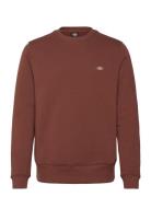 Oakport Sweatshirt Brown Dickies