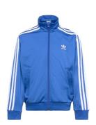 Firebird Top Blue Adidas Originals