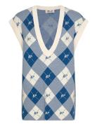 Castella Blue Baum Und Pferdgarten