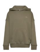 Hoodie Khaki Adidas Originals