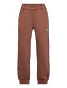 Sweatpants Brown Adidas Originals