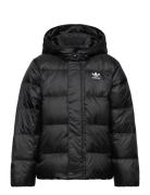 Down Jacket Elo Black Adidas Originals