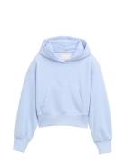 Hoody Blue Tom Tailor