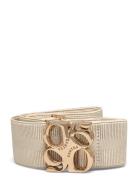 D6 Motif Logo Tape Belt Gold Cream Dante6