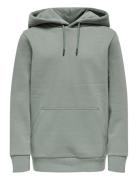 Osjceres Hoodie Swt Noos Grey ONLY & SONS