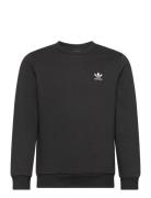 Crew Black Adidas Originals