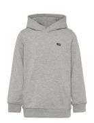 Po-Pull-Over Hoody Grey Levi's