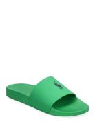 Signature Pony Slide Green Polo Ralph Lauren