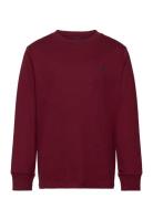 Cotton Jersey Long-Sleeve Tee Burgundy Ralph Lauren Kids