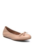Acor_25_Nto Cream UNISA