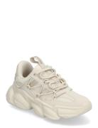 Jspectatorr Sneaker Beige Steve Madden