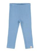 Legging Modal Blue Petit Piao