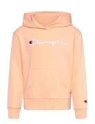 Hooded Sweatshirt Pink Champion